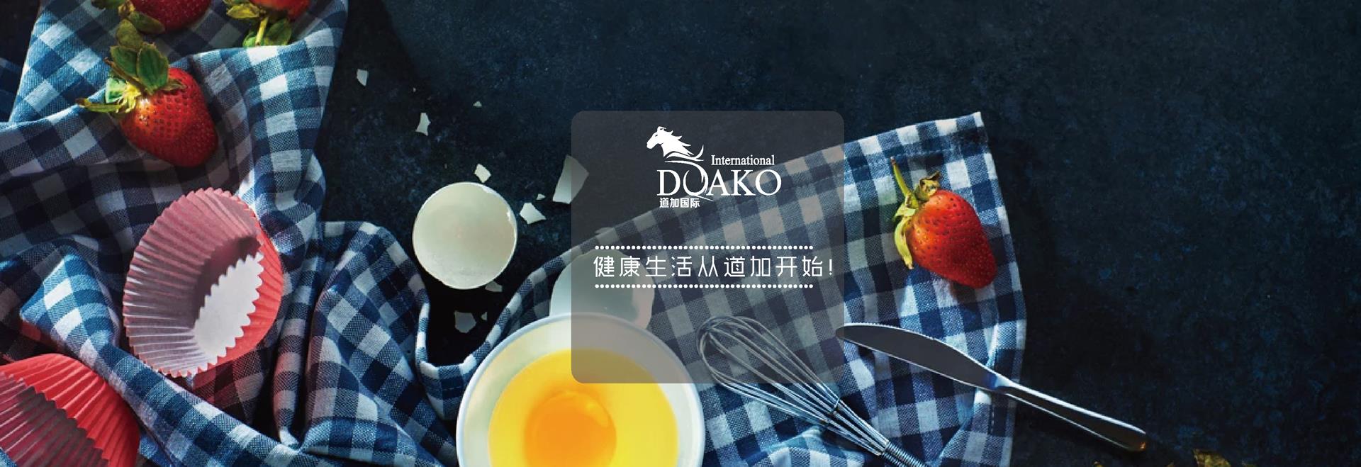 江苏道加国际贸易有限公司